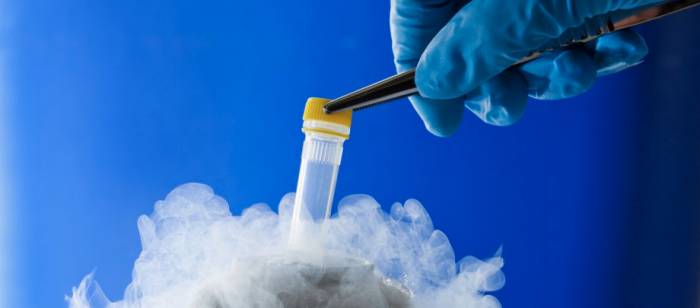 История криоконсервации - История криоконсервации