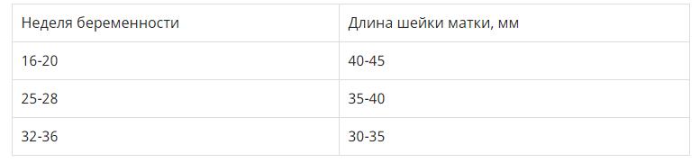 4560110.jpg 4560110.jpg