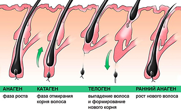 121217_13.jpg 121217_13.jpg