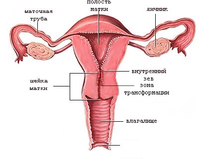 456.jpg 456.jpg