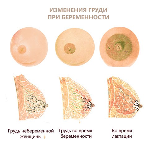 3.jpg 3.jpg