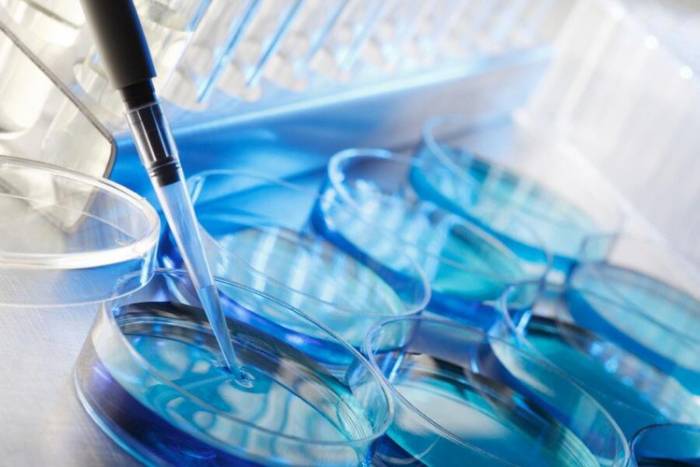 Советы перед эко