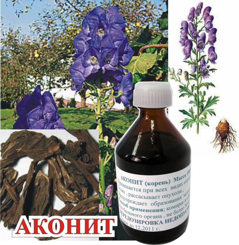 gomeopatiya-ot-nasmorka2